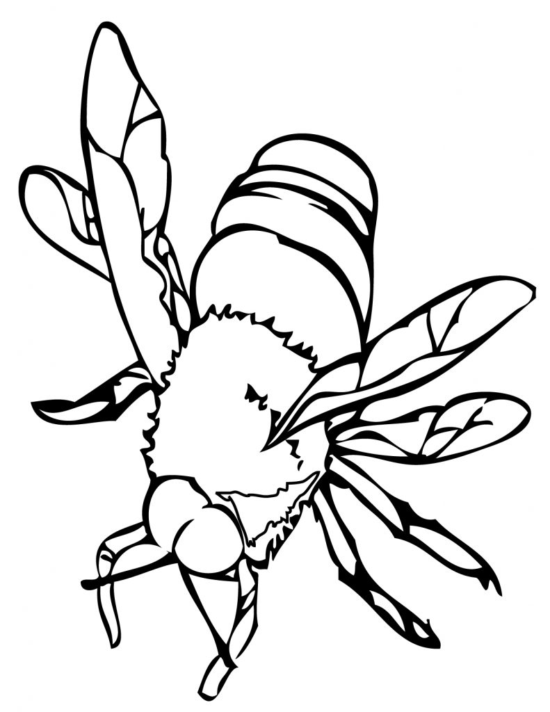 Best 40 Coloring Pages Bee Picnic Ideas 28